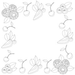 Coloring book for kids frame of different berries, white background