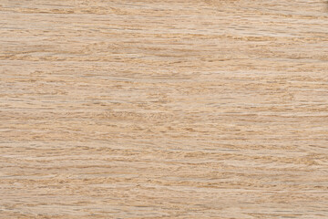 Oak. A palette of wood decor samples of different colors and textures. Wooden brown panel with...