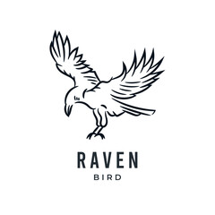 Fototapeta na wymiar Raven bird or eagle line art hand drawn logo icon vector illustration