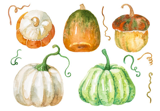 Abstract watercolor collection of autumn pumpkins. Hand drawn nature design elements isolated on white background.