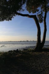 Landscape photo, Paimboeuf, Donges refinery, south estuary, industrial landscape, the banks of the Loir