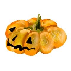 Pumpkin for Halloween or Thanksgiving, for autumn decorative design, Halloween invitation, harvest