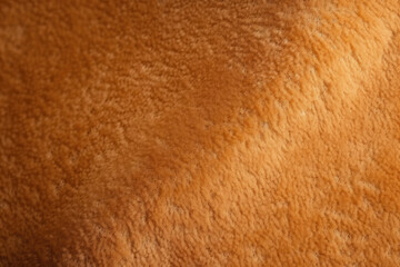 Exquisite Handmade Felt Fabric: A Detailed Close-up Revealing the Intricate Texture of this Soft, Cozy, and Versatile Material for Textile Art, Homeware, and Fashion.