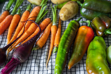 Close-up of freshly picked vegetables. Organic vegetebles on a table: zucchini, beets, peppers, potatoes, carrots on a towel to dry. Autumn harvest