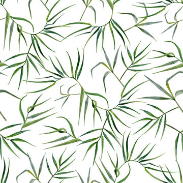 Tropical bamboo branches and leaves green watercolor seamless pattern on white. Hand drawn botanical background for printing on fabrics and textiles