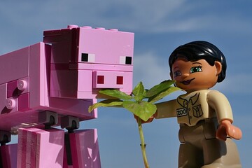 Obraz premium LEGO Duplo female ZOO attendant is offering fresh basil herb leaves to large LEGO Minecraft pig mob. Summer daylight sunsine, blue skies with some scattered clouds in background. 