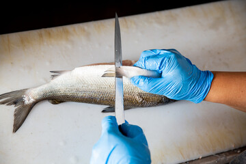 Professional chef cleaning cutting and filleting raw whitefish close-up. Process of cooking seafood dishes using sharp knife.