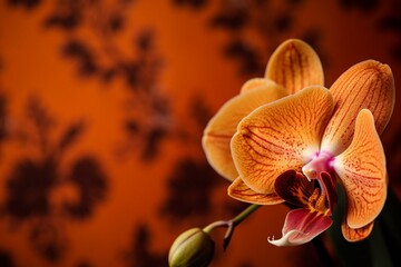 Vibrant close-up of a beautiful orange orchid against a wallpaper backdrop. Generative AI
