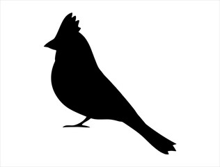 Cardinal bird silhouette vector art white background