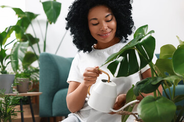 Happy woman watering beautiful monstera with water indoors. Houseplant care © New Africa