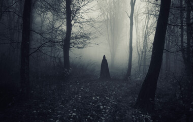 mysterious cloaked silhouette in dark fantasy forest - obrazy, fototapety, plakaty