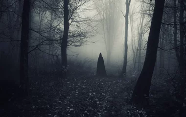 Foto op Canvas mysterious cloaked silhouette in dark fantasy forest © andreiuc88