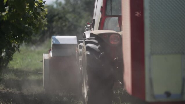 harvesting hazelnuts on agriculture plantation field with special harvester combine machine, slow motion