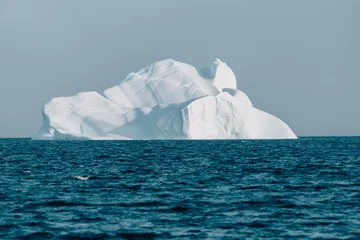 Deurstickers Iceberg © Ann