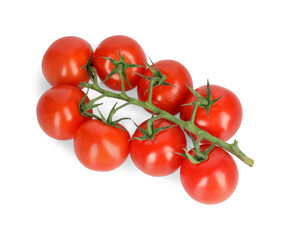Branch of red ripe cherry tomatoes isolated on white, top view