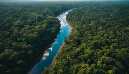Fototapeta na wymiar view of the river in the amazon rain forest