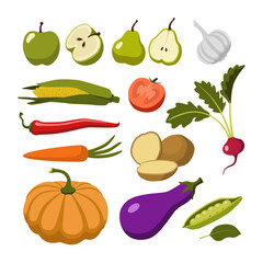 A large set with vegetables and fruits on a white background. Apples, pears, garlic, corn, pepper, tomato, potato, carrot, pumpkin, radish, eggplant, peas, leaf