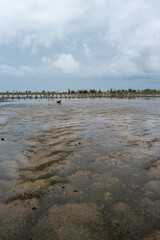 La lagune de Joal un jour d'orage au Sénégal en Afrique occidentale