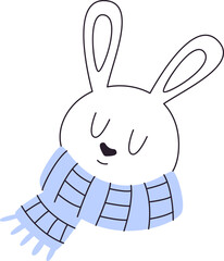 Rabbit With Scarf Lined