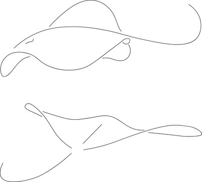 mantarraya de l&iacute;neas ideal para representar a los animales y su vida marina  