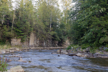 Fototapeta premium mountain river between rocks and trees