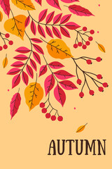 Autumn card or poster with leaves and berries. Vector graphics.