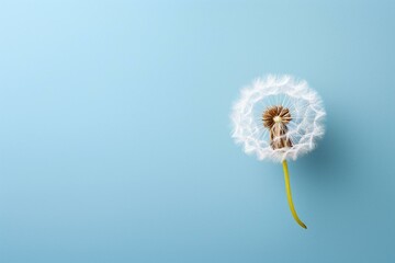 A dandelion captured from above against a soft colored backdrop, giving a serene and light feel. There is also empty space for text. Generative AI