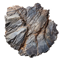 top view of fossil-rich shale rock isolated on a transparent white background