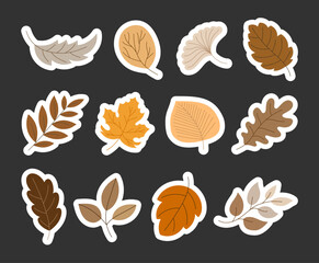 Colorful cartoon autumn leaves. Sticker Bookmark. Hand drawn style. Botanical. Vector drawing. Collection of design elements.