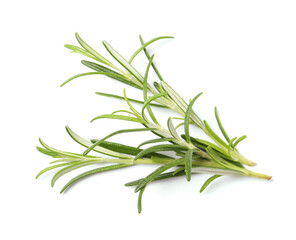 Sprig of fresh rosemary isolated on white, top view