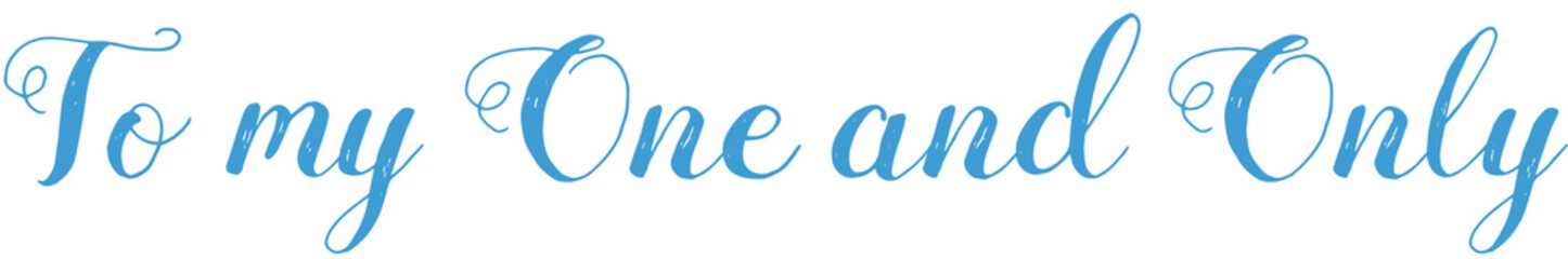 Digital png illustration of to my one and only text on transparent background