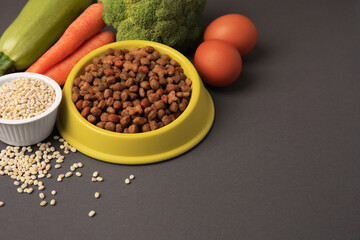 Dry pet food and products on black background, space for text