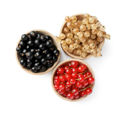 Fresh red, white and black currants in bowls isolated on white, top view