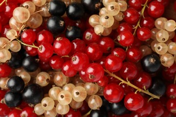 Different fresh ripe currants as background, top view