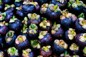 mangosteen fresh fruit, can be used for magazine background