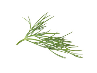 Fototapeta premium One sprig of fresh dill isolated on white
