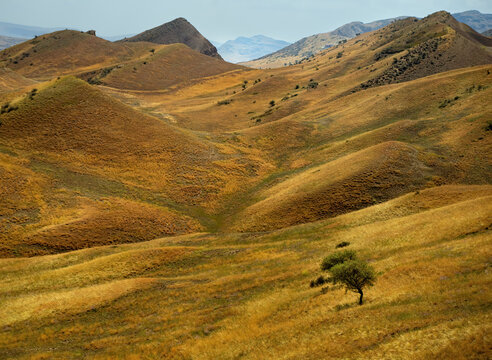 Hills in the steppe in eastern Georgia near the David Gareja Monastery