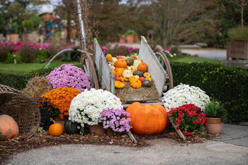 Décoration de citrouilles