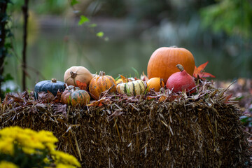 Décoration de citrouilles