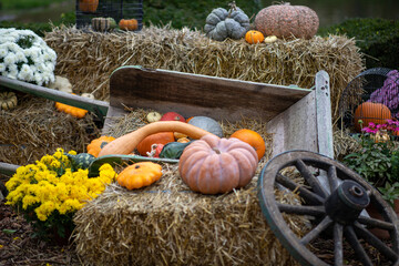 Décoration de citrouilles