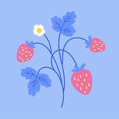 Strawberry illustration. Vector print. Hand drawn berries, strawberry flower and leaves.