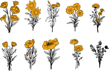 Vector Illustration Flower Set Black and Yellow Simple