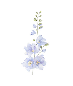 Watercolor delphinium floral branch png, elegant wedding arrangement, blue blossom flowers.