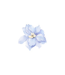 Watercolor delphinium flower png, elegant realistic blue blossom flower clipart.