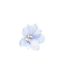 Watercolor delphinium flower png, elegant realistic blue blossom flower clipart.