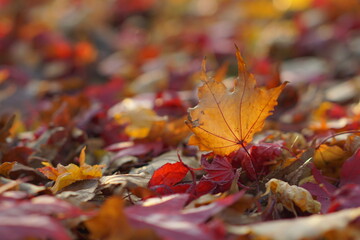紅葉の落ち葉の中一枚立つ