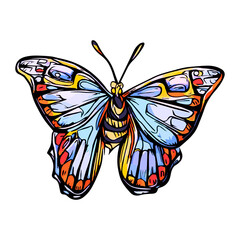 Butterfly picture, It's an animal illustration used in common applications. 