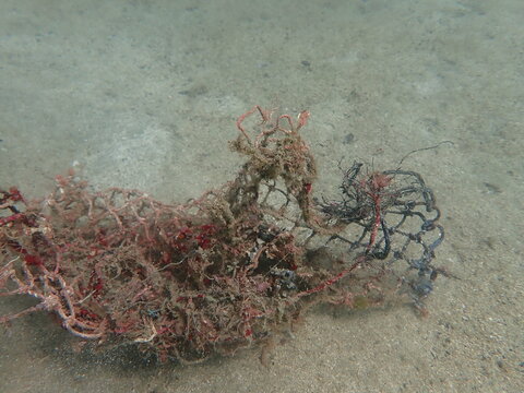 砂地を漂う漁網の破片