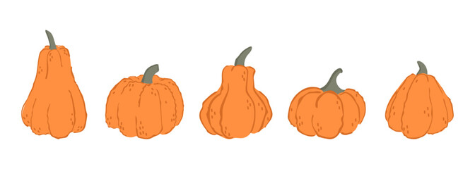 Cute cartoon style set of orange  pumpkins. Thanksgiving, Halloween, autumn, fall decoration.