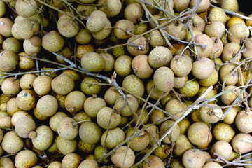 longan fruit group from asian farm, can be used for content creative background